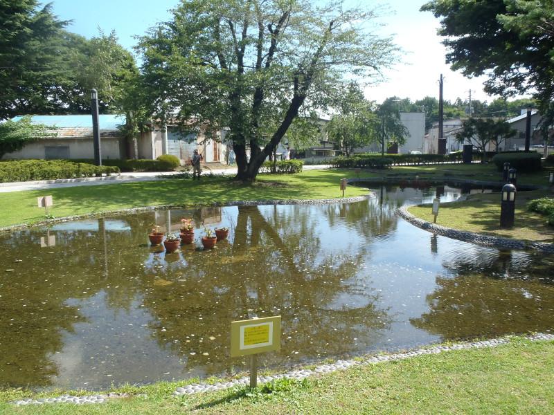 三八城公園全体の写真