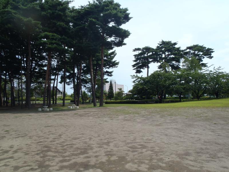 長者森公園の広場の写真