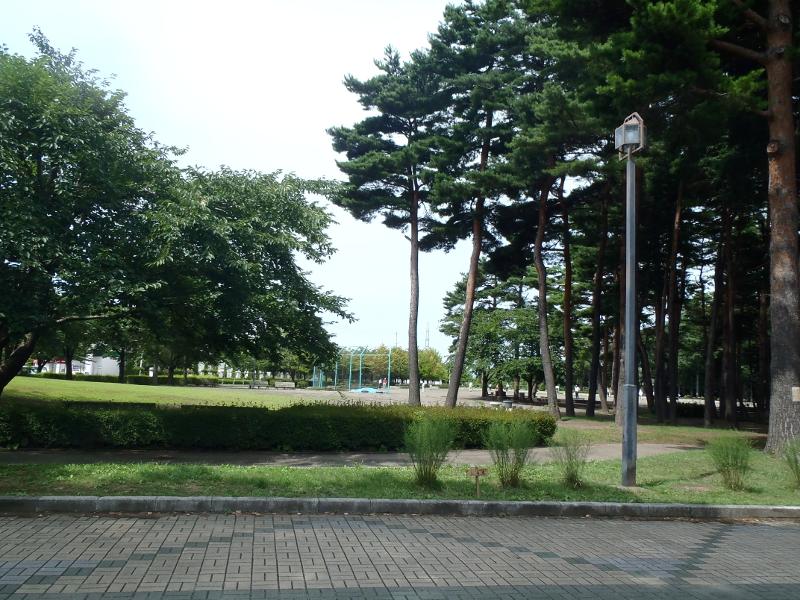 長者森公園の公園全体の写真