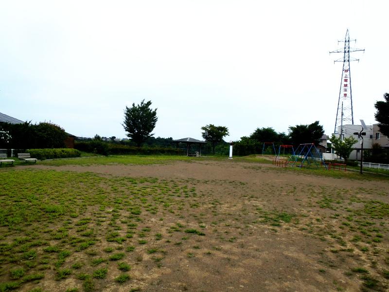 ケヤキ公園の全景・広場の写真