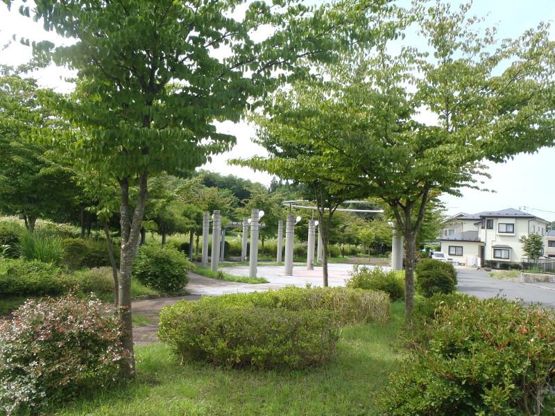 アジサイ公園の緑の木々の園道の写真