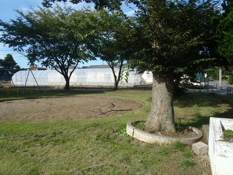 石堂第6号公園の樹木の写真