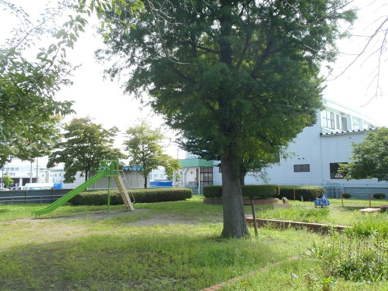 淀1号公園の樹木の写真