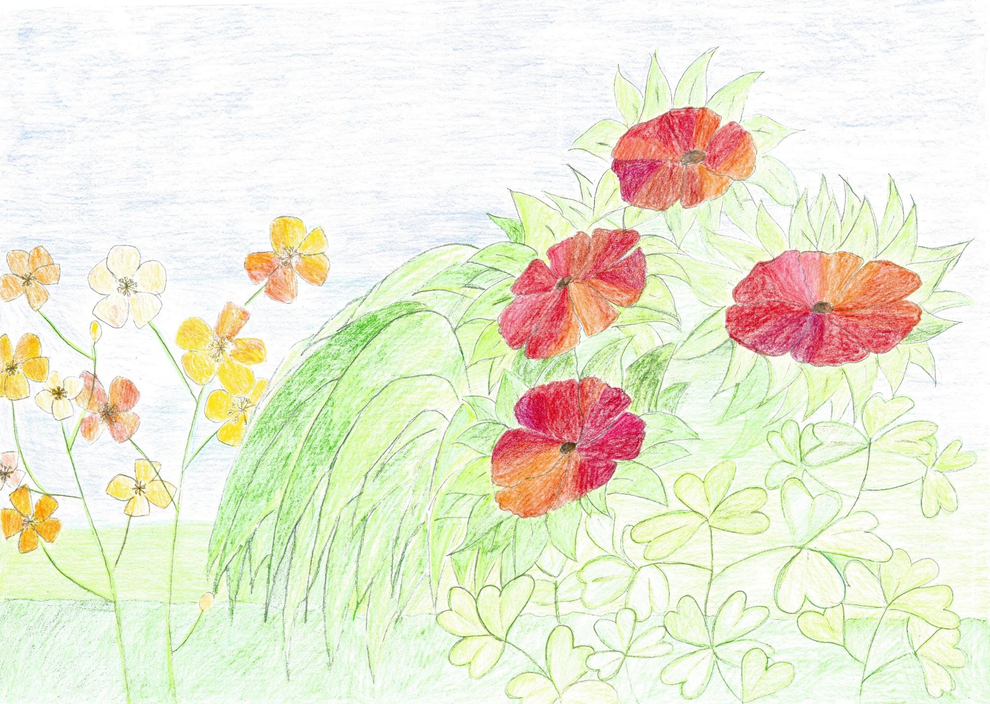 亀山 美夕さん「夏の花」