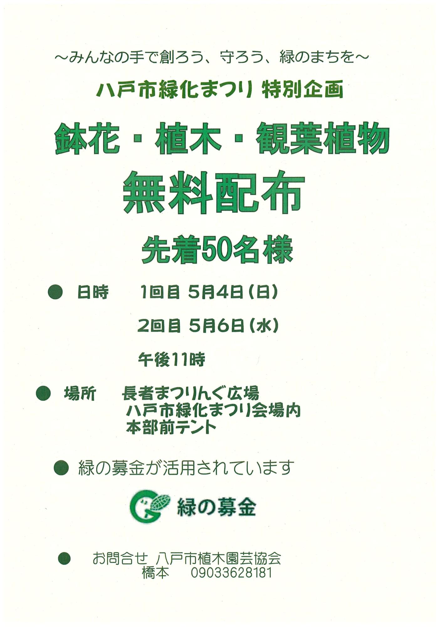 緑化まつり特別企画 鉢花 植木 観葉植物 無料配布