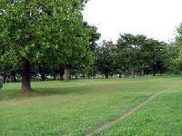 細い道のできた東墓地公園の緑の芝生の写真