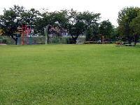 ジャングルジムやベンチがある東運動公園の芝生広場の写真