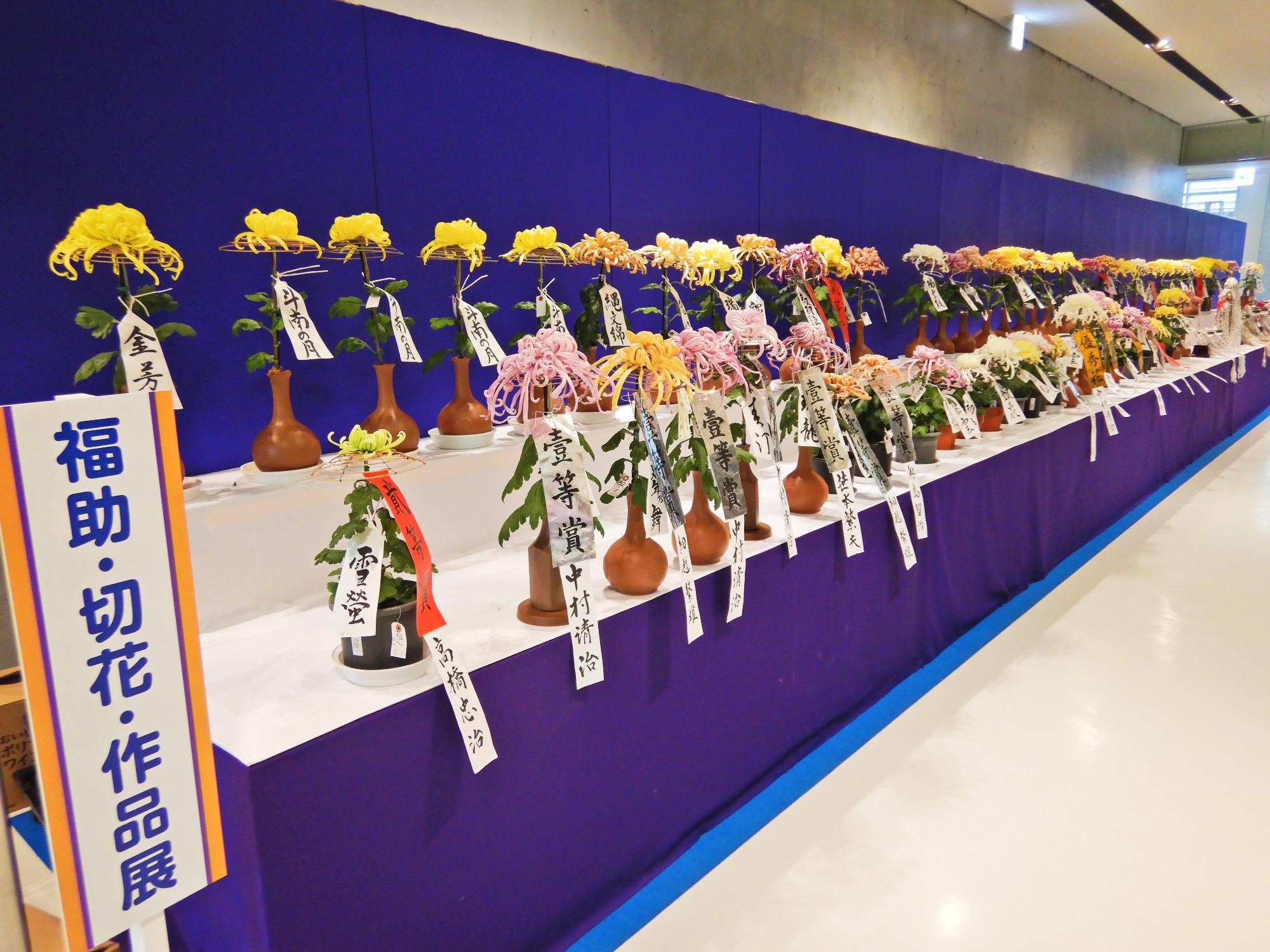 1輪ずつ花器にいけてずらりと展示されている色とりどりの切り花展の写真