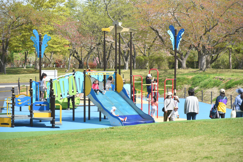 大型複合遊具広場内に設置された複合遊具の写真