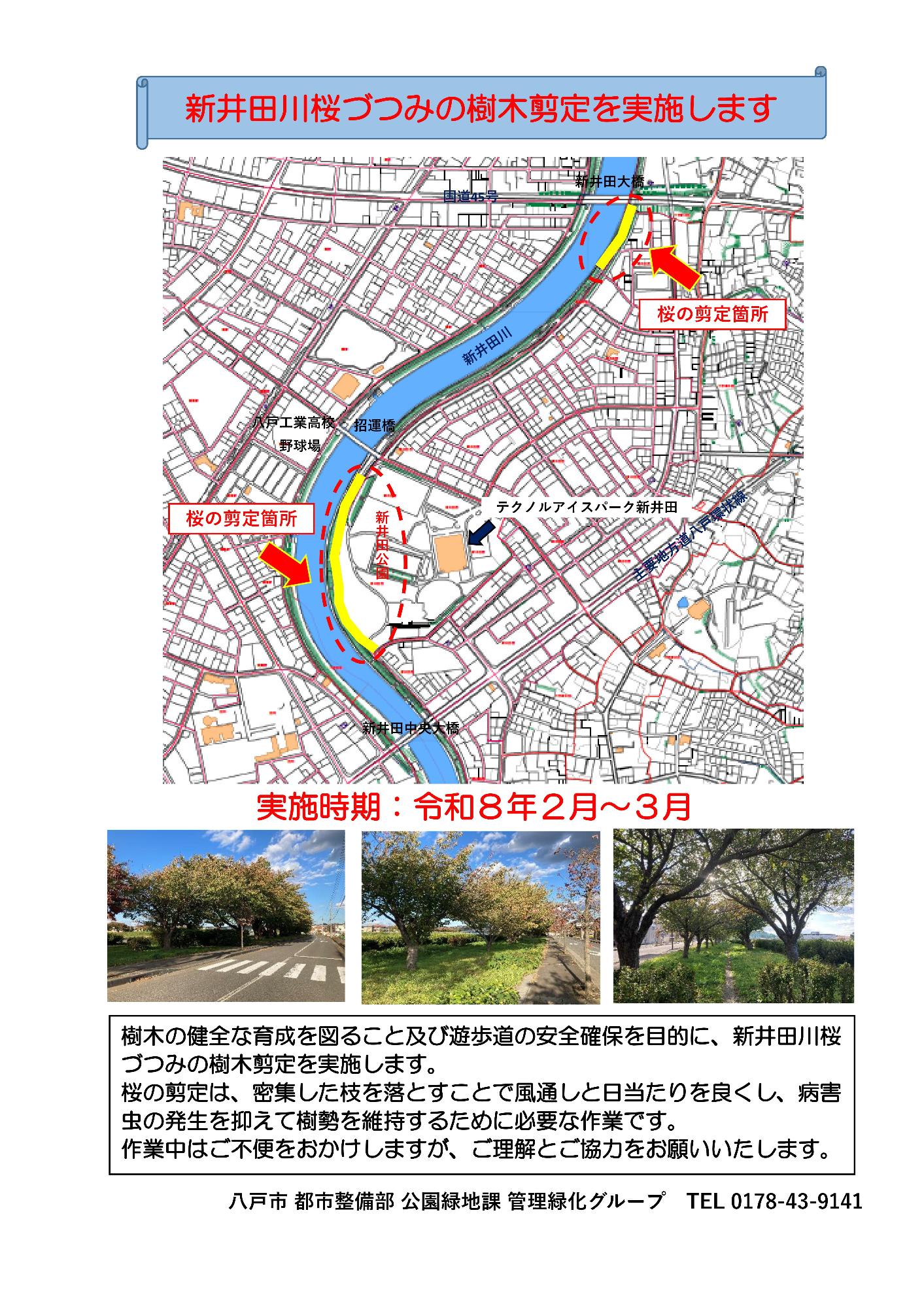 剪定のお知らせ