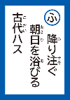 ふりそそぐあさひをあびるこだいはす