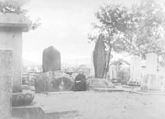 遠野の南部家墓所の風景写真