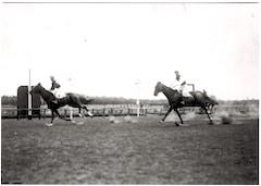 大正9年4月に行われた競馬で、2頭の馬がゴールする瞬間の写真。