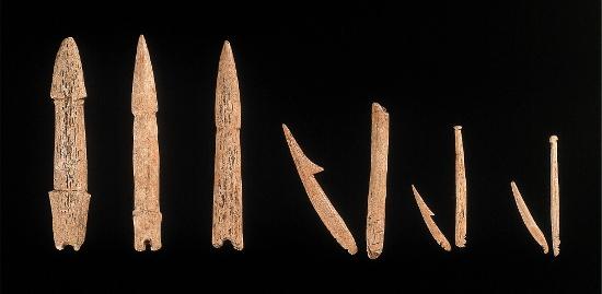 長七谷地貝塚から出土した大小様々な骨格器の写真