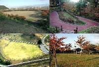 左上は多目的広場を高い位置から撮影、左下は上空から撮影、右下は木々が紅葉しており、右上はU字になっている遊歩道の4枚の写真を組み合わせた写真