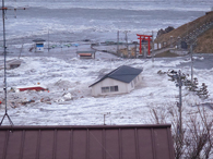 蕪島