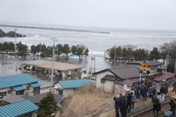 蕪島