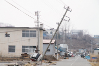 鮫の被害の様子。
(平成23年3月13日撮影 写真提供:市民(匿名)) 鮫